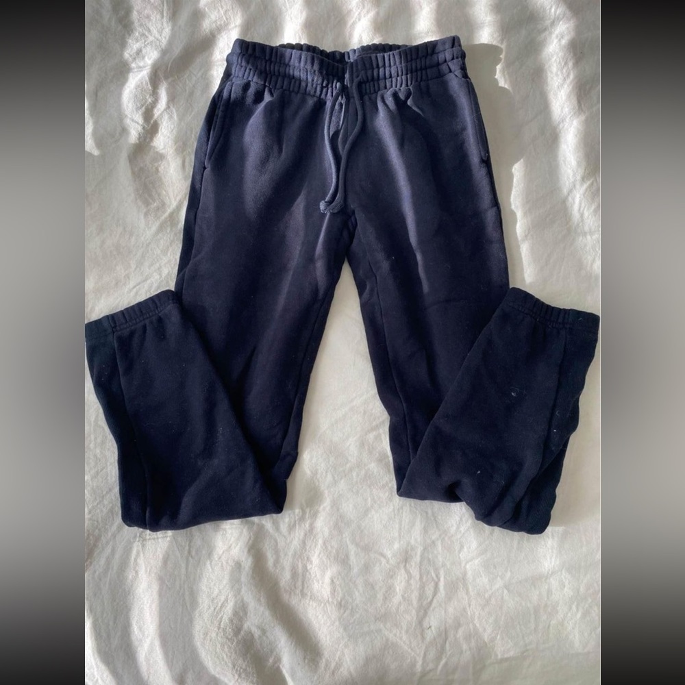 Aritzia TNA sweatpants